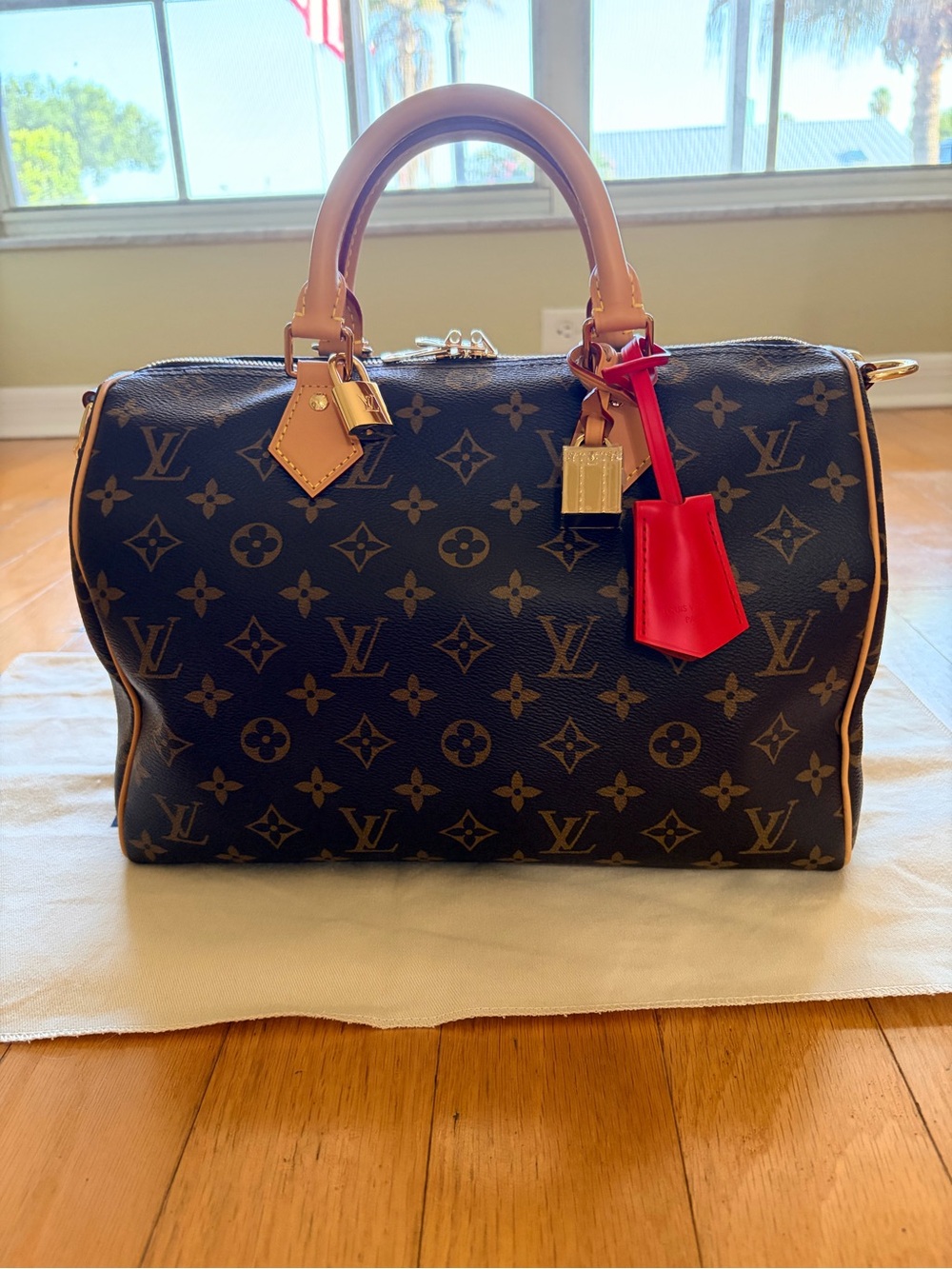 Louis Vuitton Speedy Soft 30 Crafty